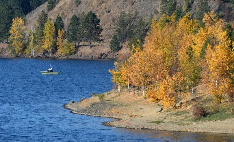 In this Oct. 15, 2013, Spokesman-Review file photo, fishermen troll slowly for kokanee salmon near often-misspelled Higgens Point on Lake Coeurd’Alene, 7 miles east of the city of Coeur d’Alene. (Jesse Tinsley / The Spokesman-Review)