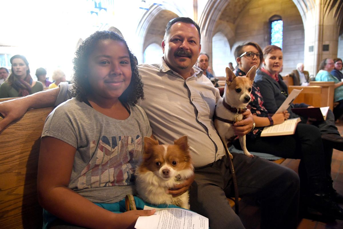 Selena Parris, 11, and Mike Dragan sit with their two Chihuahua mixes named Jack and Henry at the Cathedral of St. John the Evangelist on Sunday, Oct. 2, 2016, and wait for the Blessing of the Animals. (Jesse Tinsley / The Spokesman-Review)