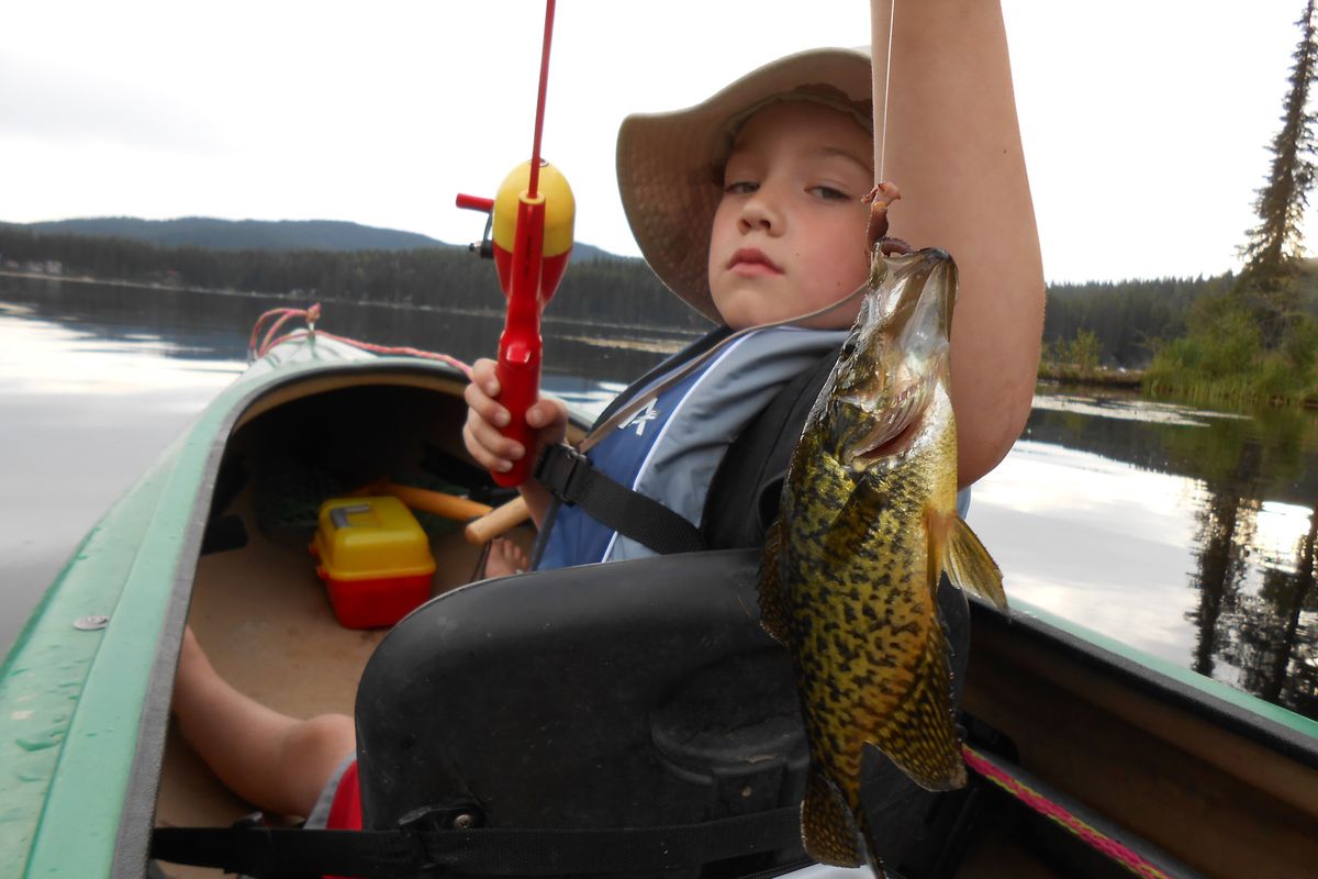 Jamie McMurtery, 6, hauls in a crappie from Lake Thomas during a summer camping trip with his dad, Jeff.