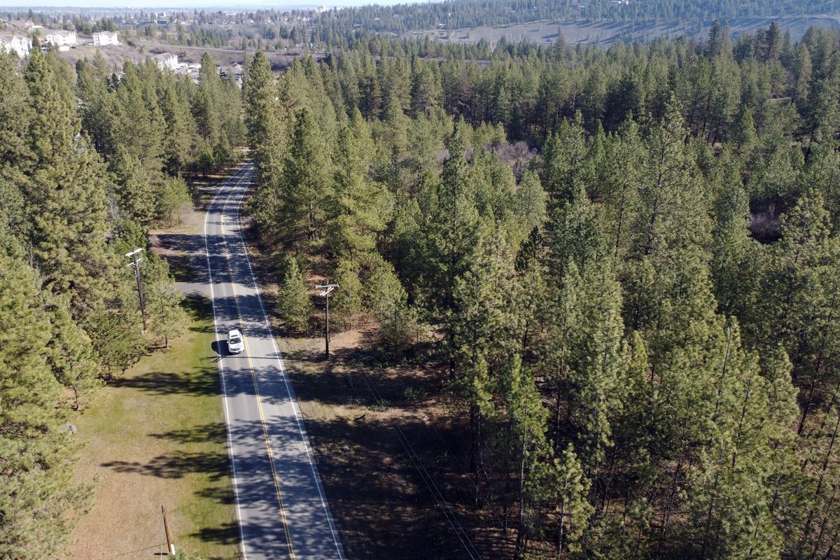 Looking east – Conservationists hope to stop as many as 1,000 homes from being built on this undeveloped land right, along Thorpe Road, south of Spokane. Shown Wednesday, March 20, 2024. It is approximately 160 acres.  (Jesse Tinsley/THE SPOKESMAN-REVIEW)