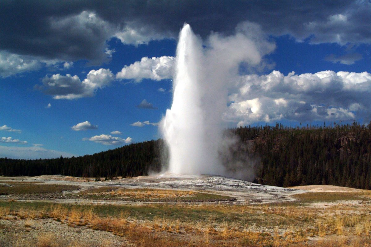 Yellowstone National Park includes 10,000 thermal features and more than half the world’s geysers, including Old Faithful. (Craig Mellish / Associated Press)