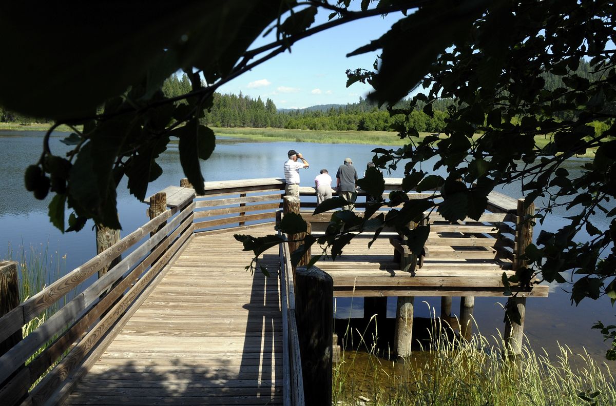 Visitors to Potters Pond at the Little Pend Oreille National Wildlife Refuge get a chance to view birds and animals, discover wildflowers and read about the habitat of northeastern Washington. Many of the best viewing sites are marked and have large panels describing what you may see.  (Christopher Anderson / The Spokesman-Review)