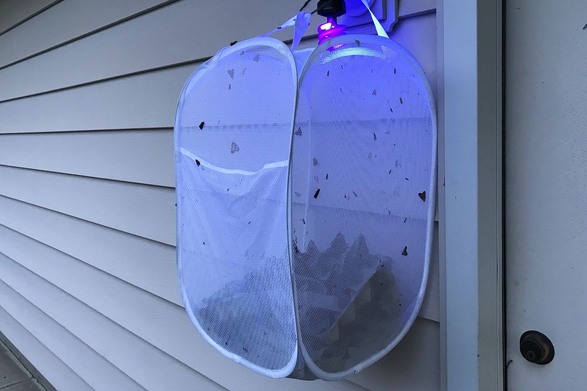 More on building a better moth trap