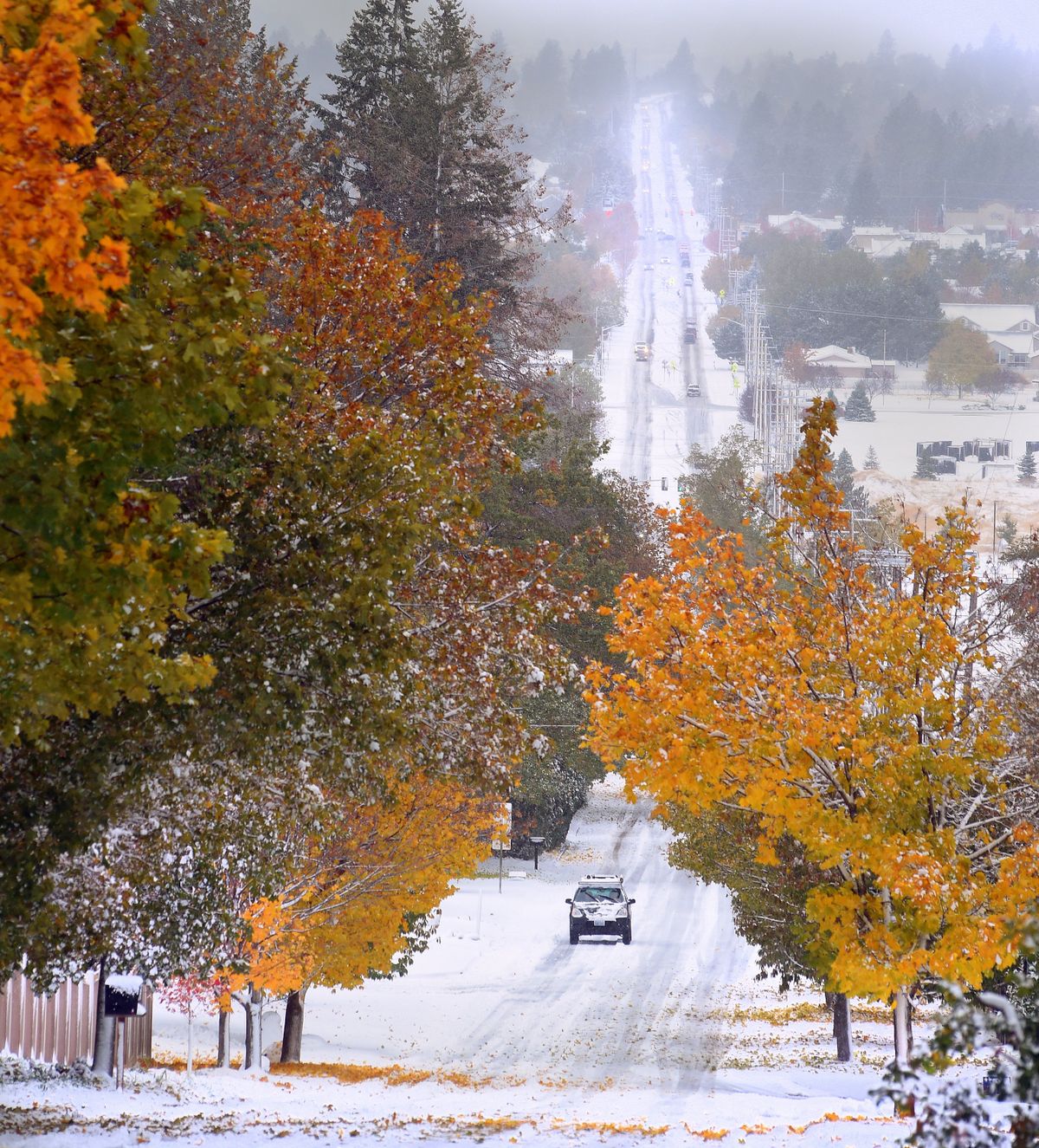 A car tries climbing a hill on East 57th on Monday after an overnight snowstorm coated trees still laden with leafy foliage and clogged streets for the morning commute.  (Christopher Anderson/For The Spokesman-Review)