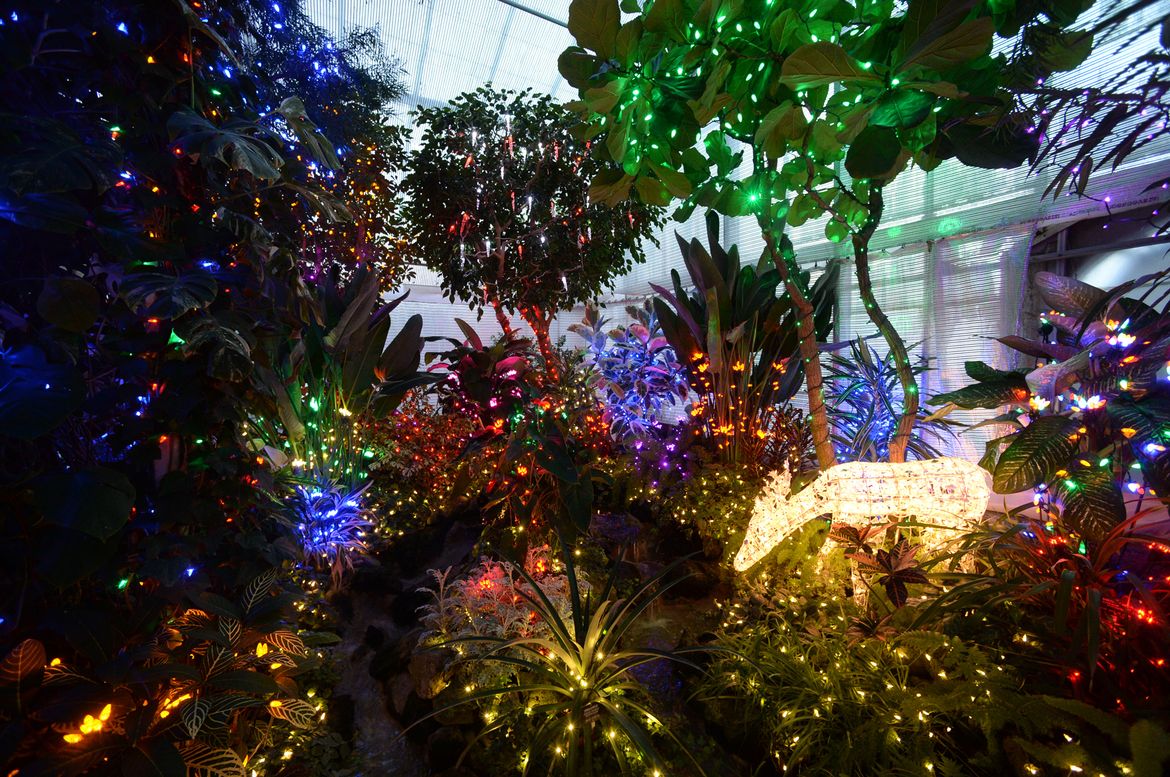 Holiday Lights at Gaiser Conservatory A picture story at The