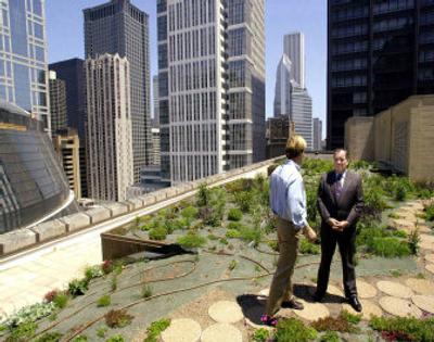 
Chicago Mayor Richard M. Daley, left, talks with P. Allen Smith, host of a television garden show, about the roof-top garden on Chicago's City Hall in 2001. The rooftop is part of a pilot program aimed at reducing the city's temperature. 
 (Associated Press photos / The Spokesman-Review)