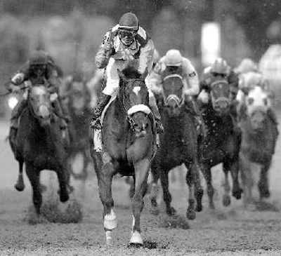 
Barbaro will be remembered for his lopsided win in last May's Kentucky Derby.
 (File Associated Press / The Spokesman-Review)