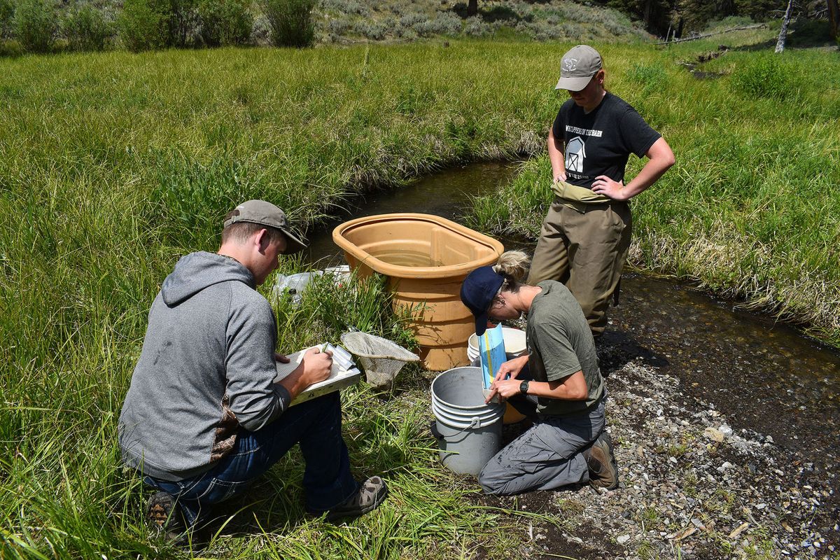 Mackay teen Caleb Hampton, left, works with Salmon-Challis Forest fisheries biologists on a fish restoration project in the Lost River basin.  (Courtesy of the Salmon-Challis National Forest)