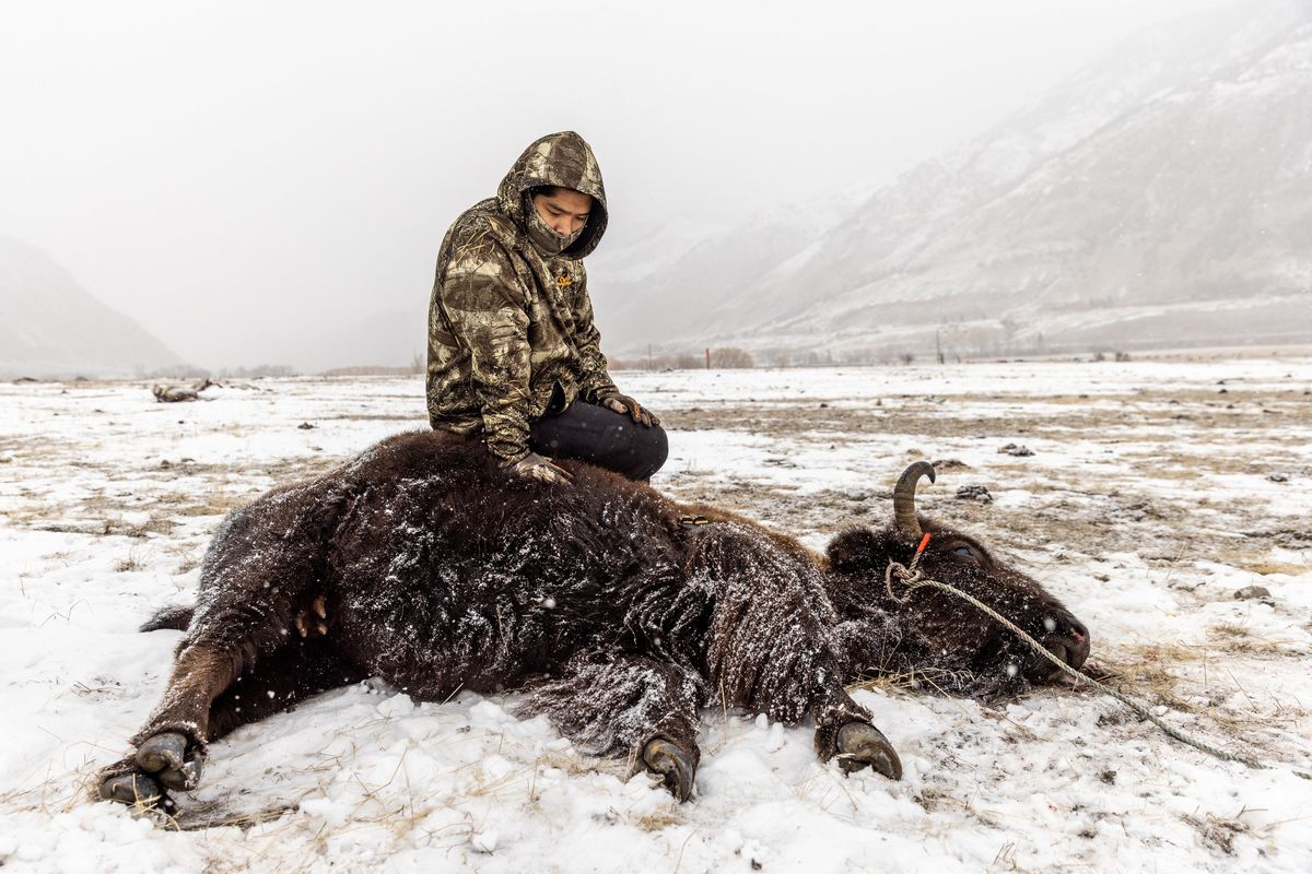 Winter Buffalo Hunt Native Americans on Horseback in Zion