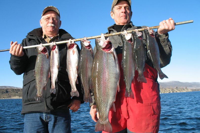 Dave Matulka of Cle Elum with fishing buddy John Jensen of Easton took limits of Lake Rufus Woods triploids last week for themselves and guides, Andy Byrd and Jeff Witkowski.  The big fish was 9.5 pounds. (Darrell & Dad's Family Guide Service)