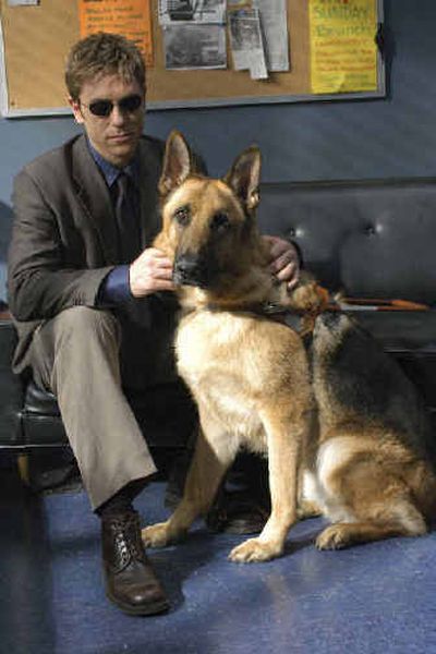 
Actor Ron Eldard portrays blind NYPD Detective Jim Dunbar, accompanied by his guide dog, in the ABC police series 