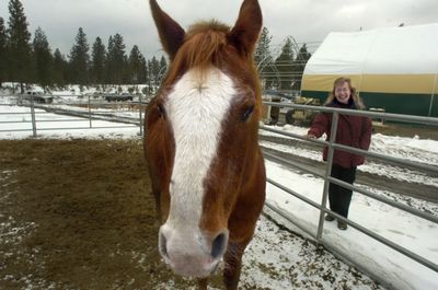 Judy Houck approaches a horse  in a  corral at her Medicine Horse Counseling facility outside  Spokane. (CHRISTOPHER ANDERSON / The Spokesman-Review)