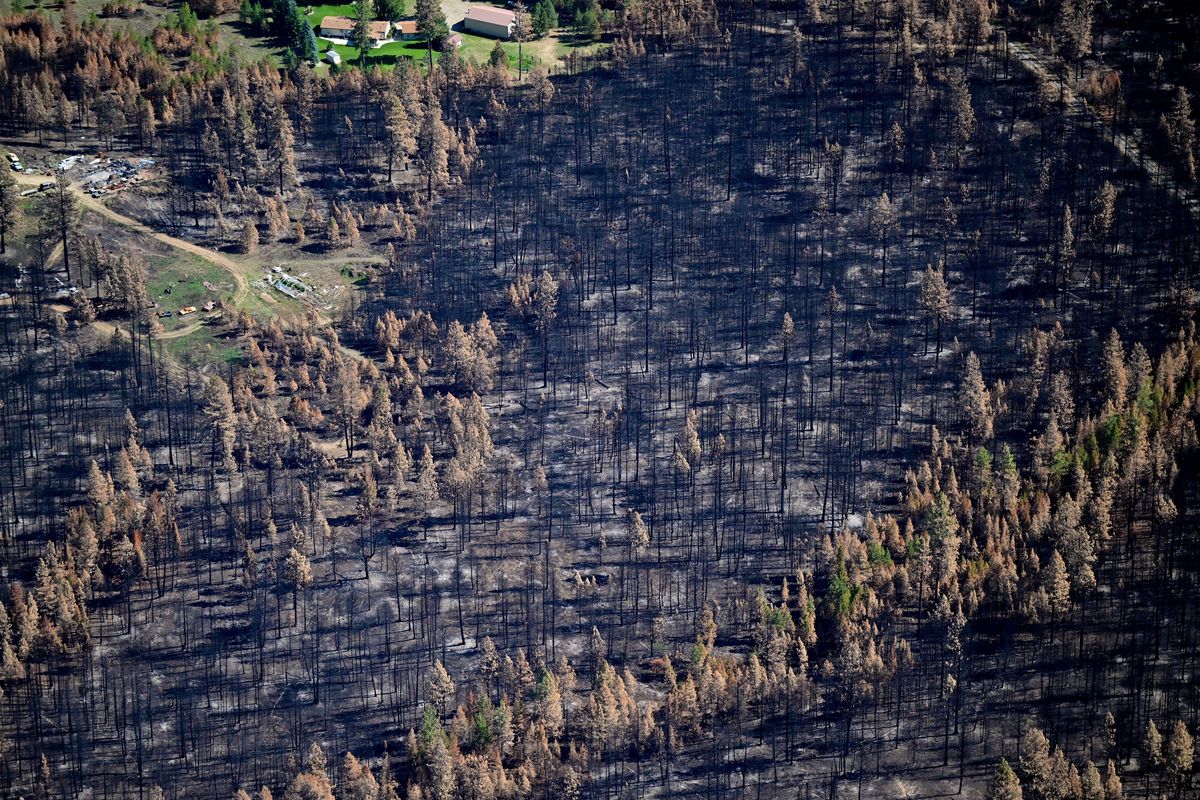 Damage from the Oregon Road fire is photographed from the air on Wednesday, Sept. 13, 2023, near Elk, Wash.  (Tyler Tjomsland/The Spokesman-Review)