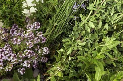 
Fresh-cut herbs are wonderful any time of year.
 (File/the Spokesman-Review / The Spokesman-Review)