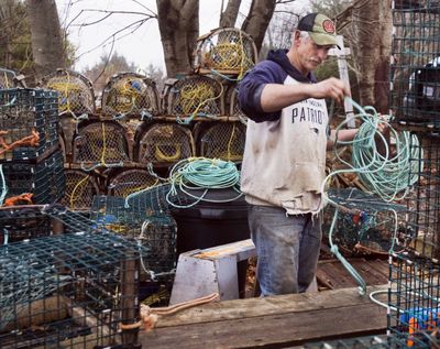 Peter Marshall attaches lines to his lobster traps in Hacketts Cove, Nova Scotia,  on Thursday. When the season opens Monday, some lobstermen will alter the way they lay lines on the ocean floor to help protect North Atlantic right whales from entanglement.  (Associated Press)