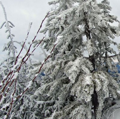 Late snow in the mountains of the Inland Northwest shows how this year's winter has held its grip. (Bill Morlin)