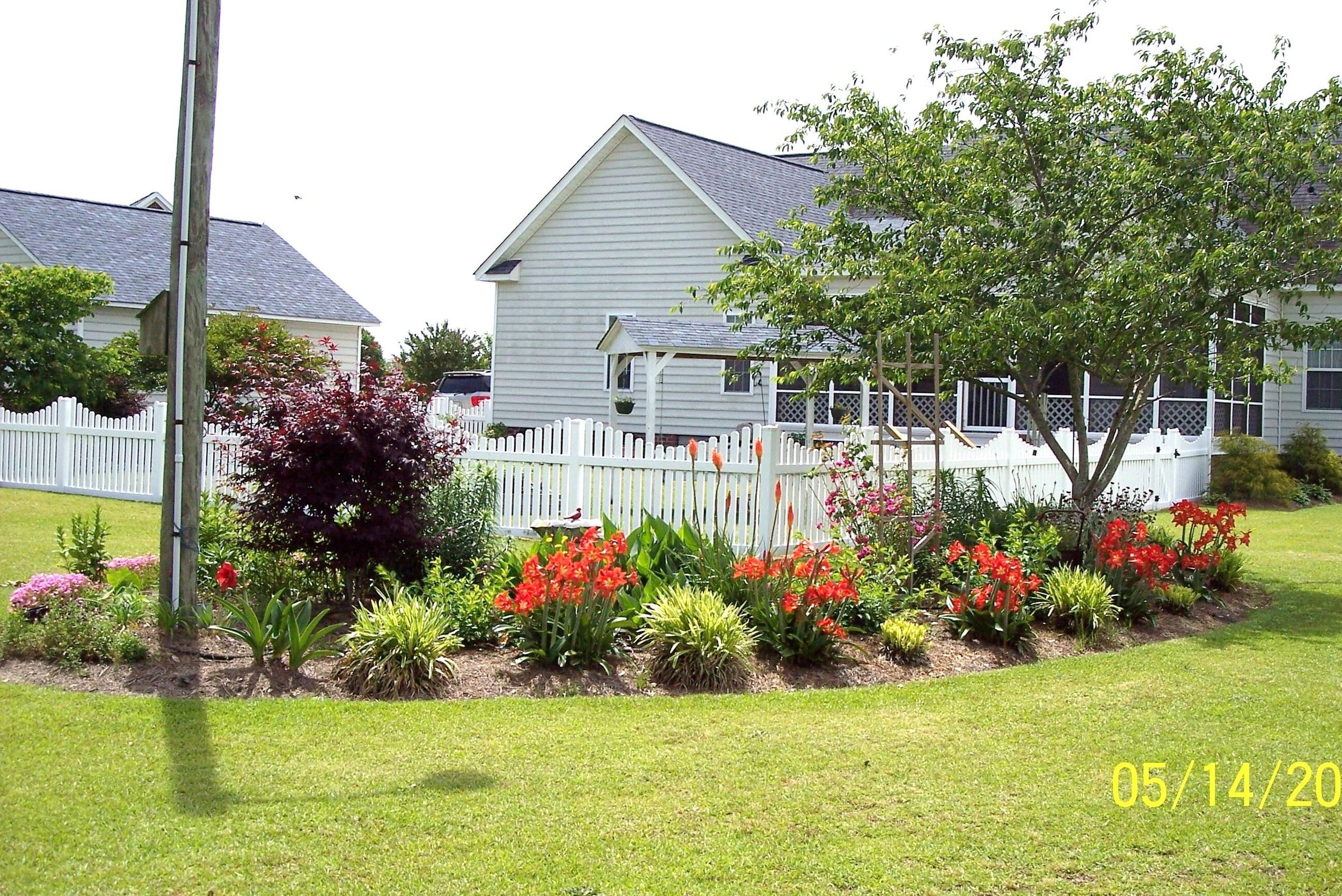 Garden Photos: June - June 10, 2015 | The Spokesman-Review