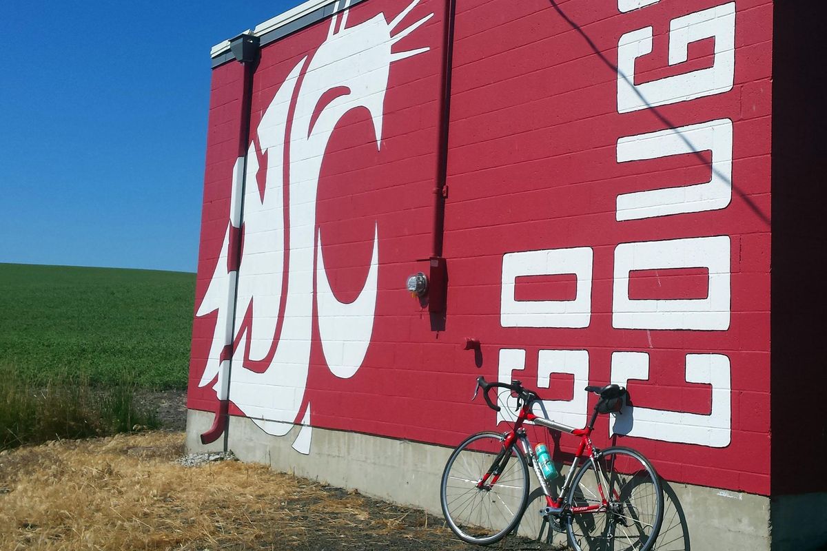 A building along State Route 194 shows its Cougar pride. (John  Nelson / The Spokesman-Review)