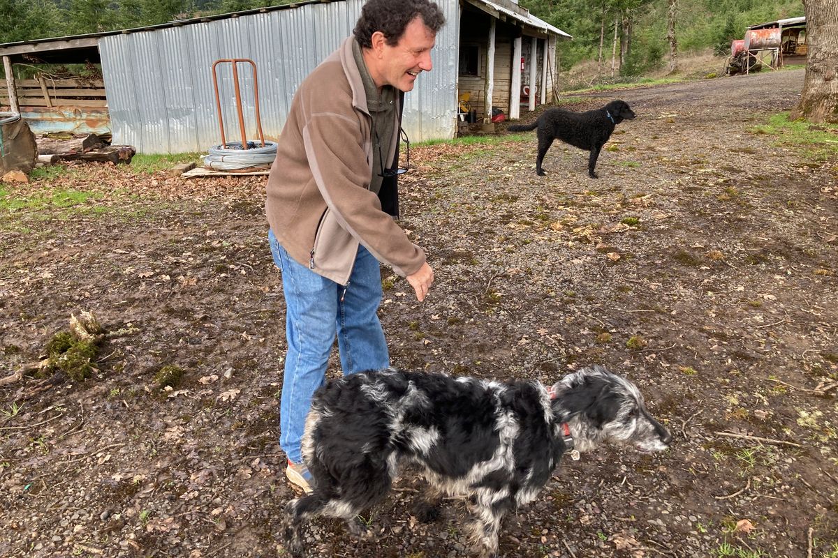 Former New York Times journalist Nicholas Kristof relaxes at his farm with his family’s dogs near Yamhill, Ore., on Friday.  (Andrew Selsky)