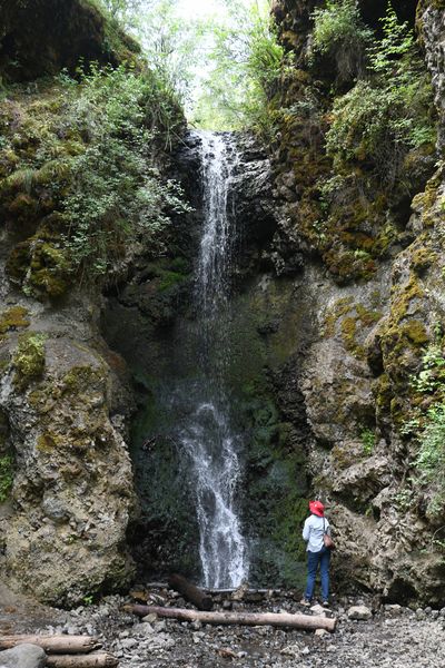 A tiny creek in a deep ravine in Palisades Park creates what has been dubbed Mystic Falls, which tumble into a deep grotto not easily seen from above. The falls are accessible via a steep, downward descent through the brush. The access to the falls is off of Indian Canyon Drive near Indian Canyon Golf Course.  (Jesse Tinsley/THE SPOKESMAN-REVIEW)