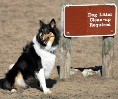 Associated Press photo for illustrative purposes.