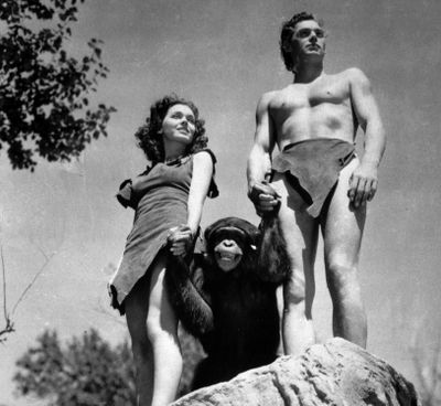 Cheetah the chimpanzee with Johnny Weissmuller and Maureen O’Sullivan in 1932. (Associated Press)