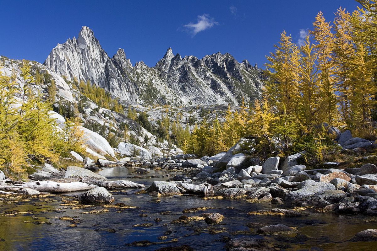 Prusik Peak looms above golden alpine larch during early October in the Enchantment Lakes.Photo by Donna Larsen (Photo by Donna Larsen / The Spokesman-Review)