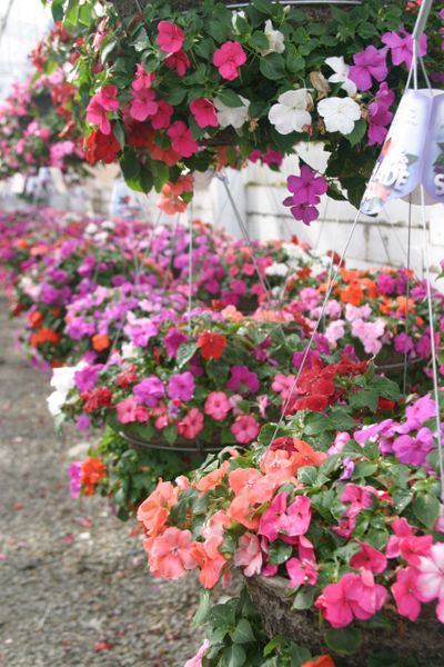  (Megan Cooley / The Spokesman-Review)