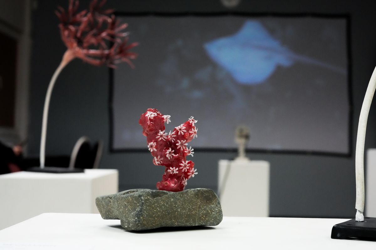 “Facing the Current,” by Lara Beckmann, is a 3-D rendering of bubblegum coral, showing what it looks like with its polyps extended for feeding. The piece is mounted on a different rock in each location, so while it’s at the Chase Gallery this month, it’s on a Spokane rock.   (Courtesy of Lara Beckmann)