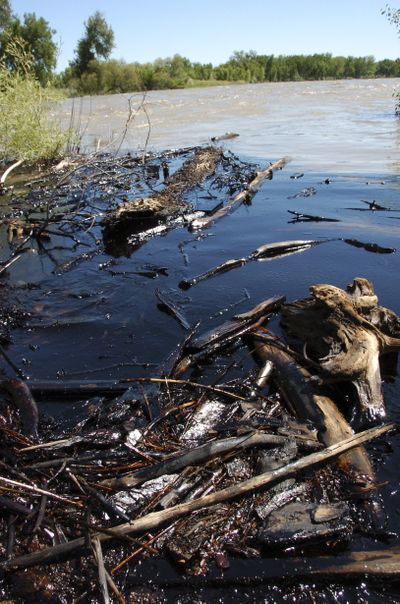 Oil from a ruptured Exxon Mobil pipeline is seen in the Yellowstone River and along its banks near Laurel, Mont., last July. (Associated Press)