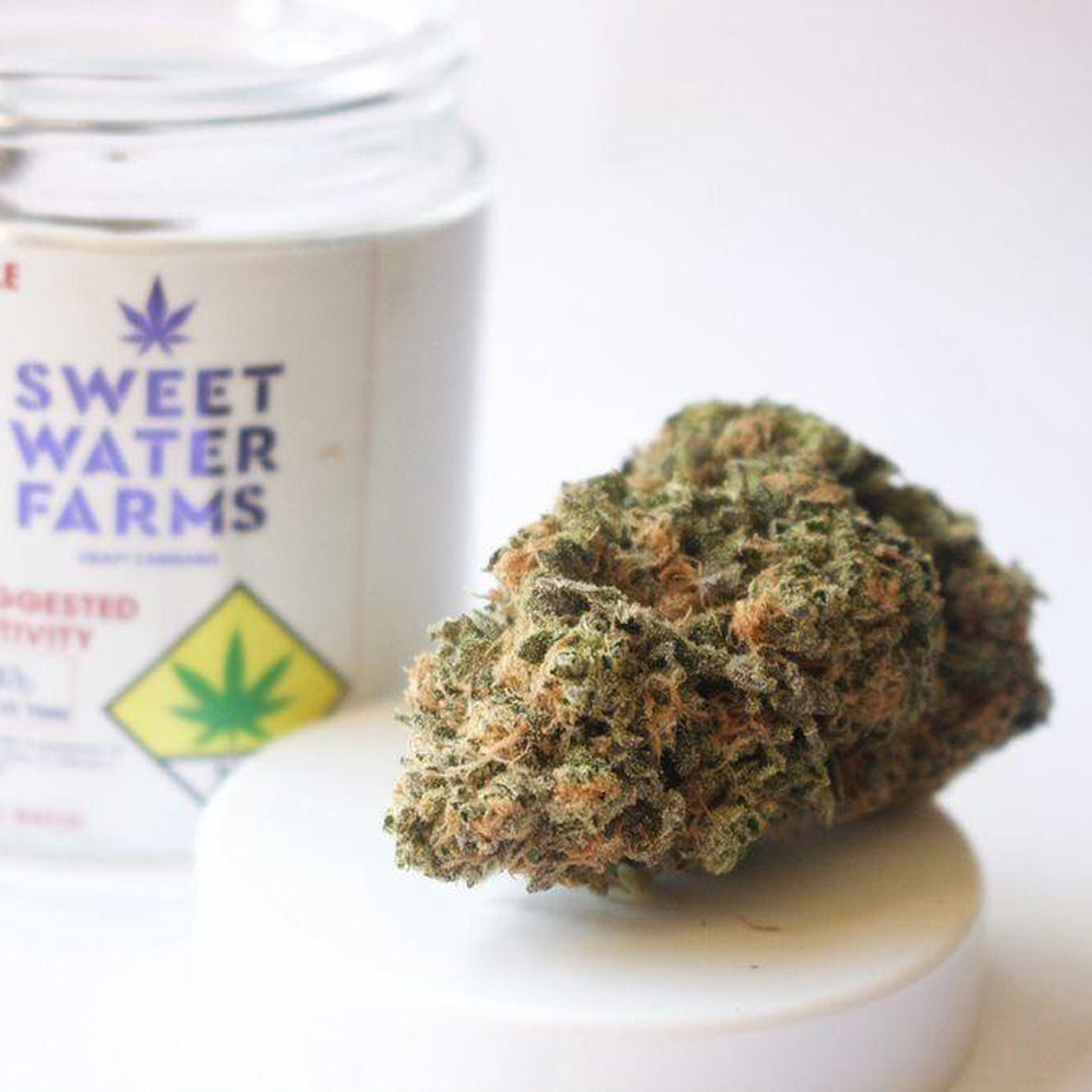 Strain of the month: Alaskan Thunder F— (ATF)