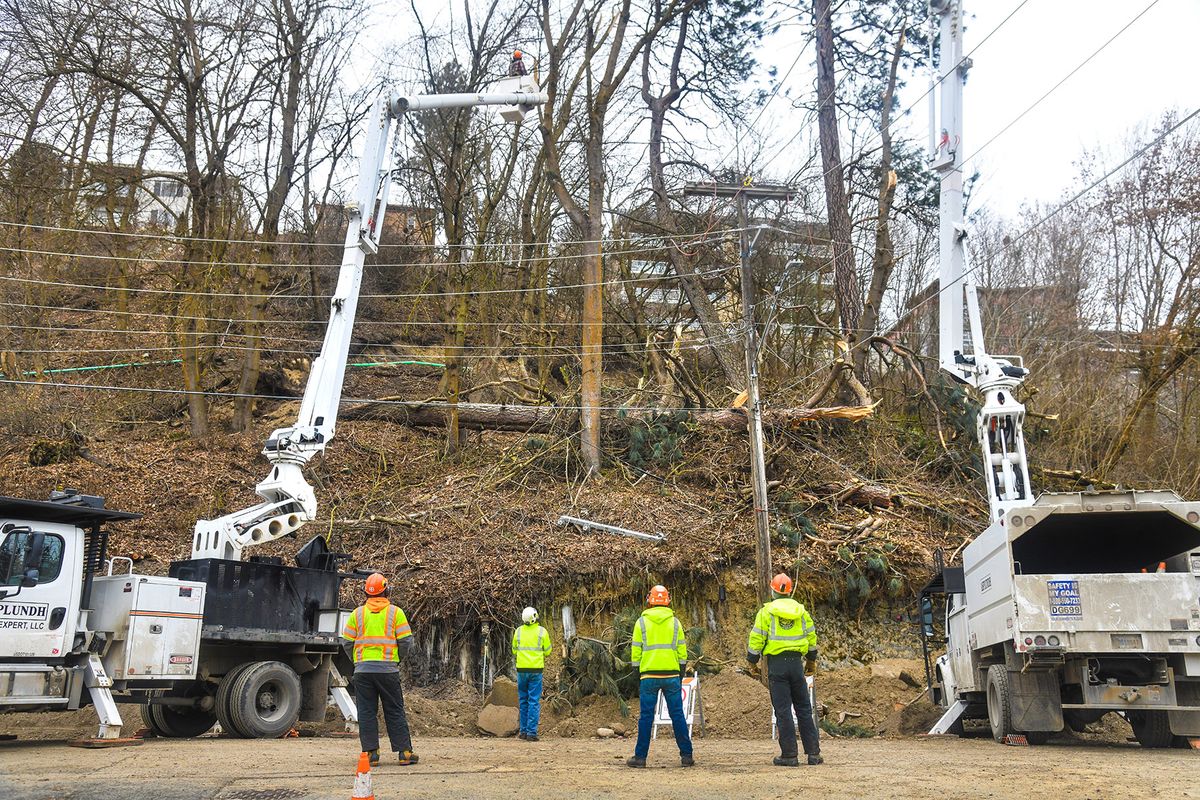 Asplundh Tree Expert crews remove trees from a hill slide at the corner of Clarke Avenue and Elm Street Friday in Spokane. The slide, on the border of Peaceful Valley and Browne’s Addition, isn’t at immediate risk of collapse.  (DAN PELLE/THE SPOKESMAN-REVIEW)