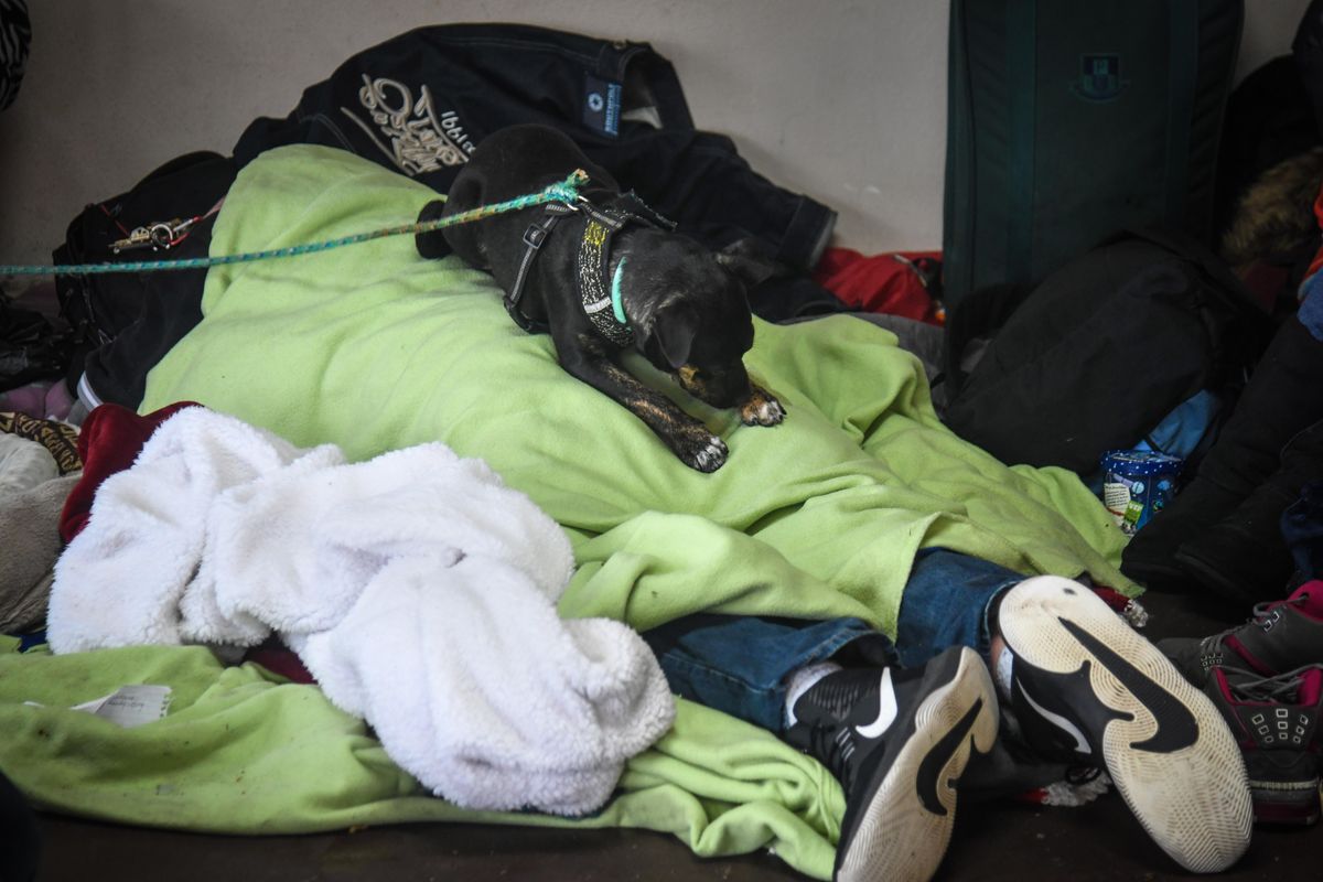 A dog takes a nap atop a sleeping homeless person at the Cannon Street shelter, Tuesday, March 12, 2019, in Spokane, Wash. (Dan Pelle / The Spokesman-Review)