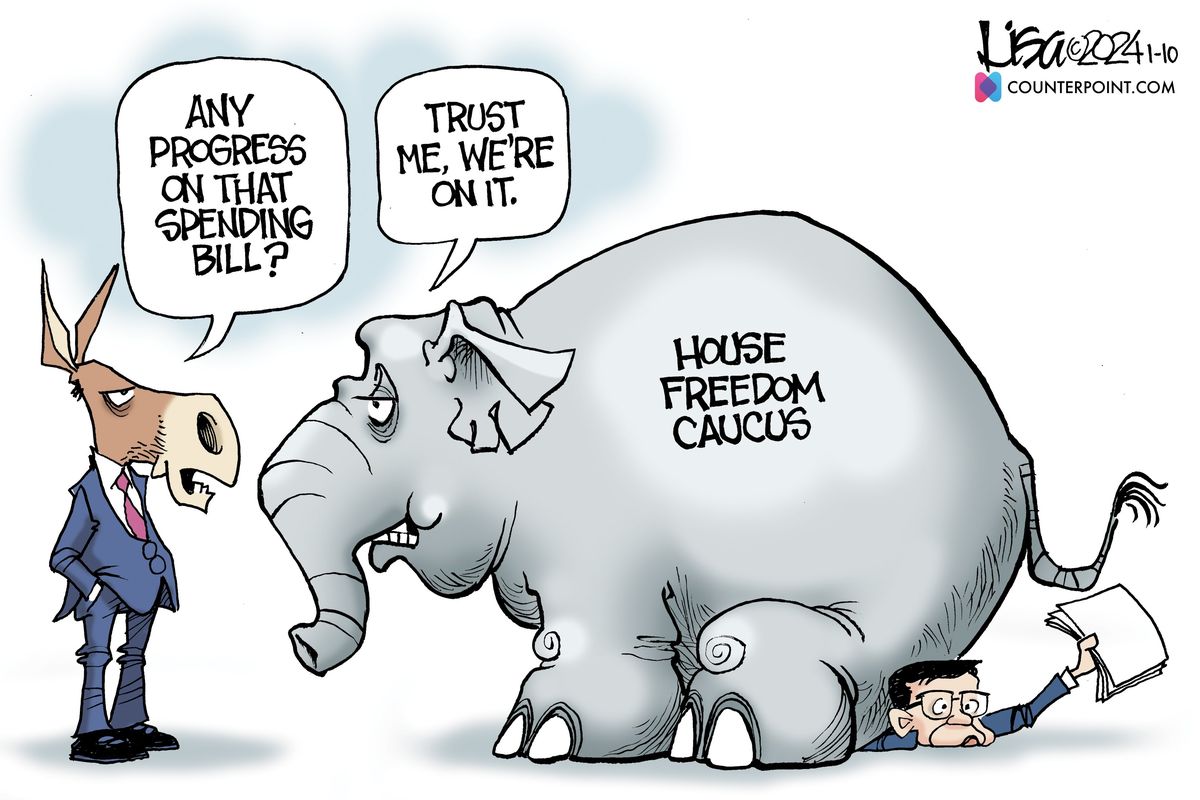 Lisa Benson, Counterpoint Media  (Lisa Benson)