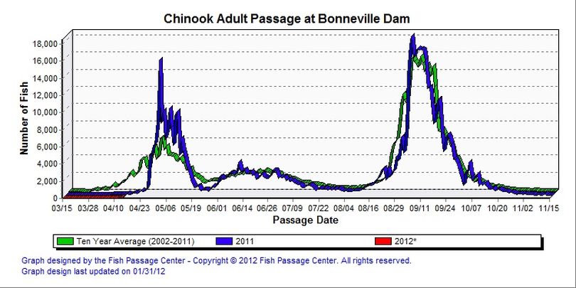 Bonneville Dam spring chinook salmon counts and historical data showing the 2012 run is late. (Fish Passage Center)