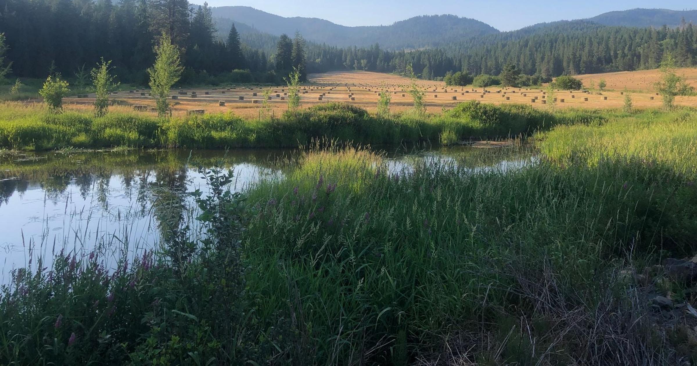 Family donates 700 acres to protect headwaters of Lake Creek