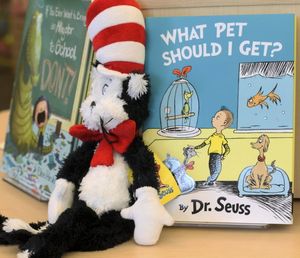 A plush “Cat in the Hat” toy is displayed next to “What Pet Should I Get?,” the latest book by Dr. Seuss, on Tuesday, July 28, 2015 at a bookstore in Concord, N.H. The book, released 24 years after the author’s death, includes the same pair of siblings featured in Seuss’s 1960 classic “One Fish Two Fish Red Fish Blue Fish.” (Holly Ramer / Associated Press)