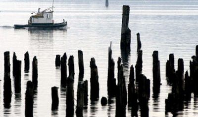 
A North Idaho Maritime tug navigates through the waters of Lake Coeur d'Alene. The tug company delivered its last load of logs two weeks ago to the Atlas Mill. The mill's owner plans to shut down the operation in December, taking about 35 percent of the tug company's business with it. 
 (File/ / The Spokesman-Review)