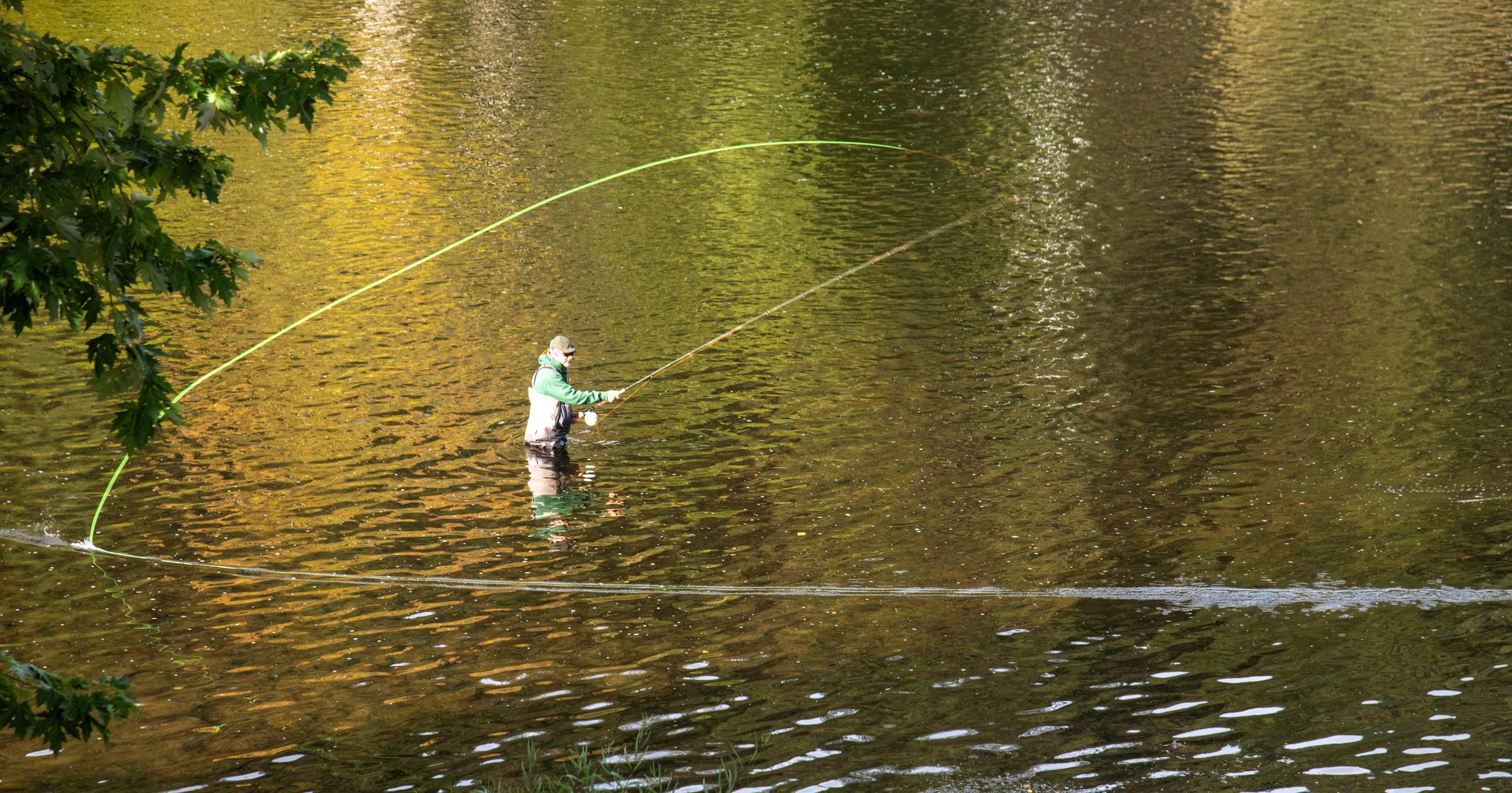 Amid the worst steelhead run on record, spey casters still gather along the Clearwater River | Michael Wright