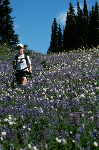 Conservationists hope the PBS documentary will lure more attention to national parks such as Mount Rainier, above. (File / The Spokesman-Review)