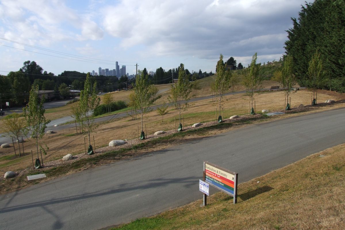 Seattle Jefferson Park on Beacon Hill is on pace to be a Food Forest, a 7-acre spot where crops are grown and the community comes together.  (Paul Haeder / Down to EarthNW Correspondent)