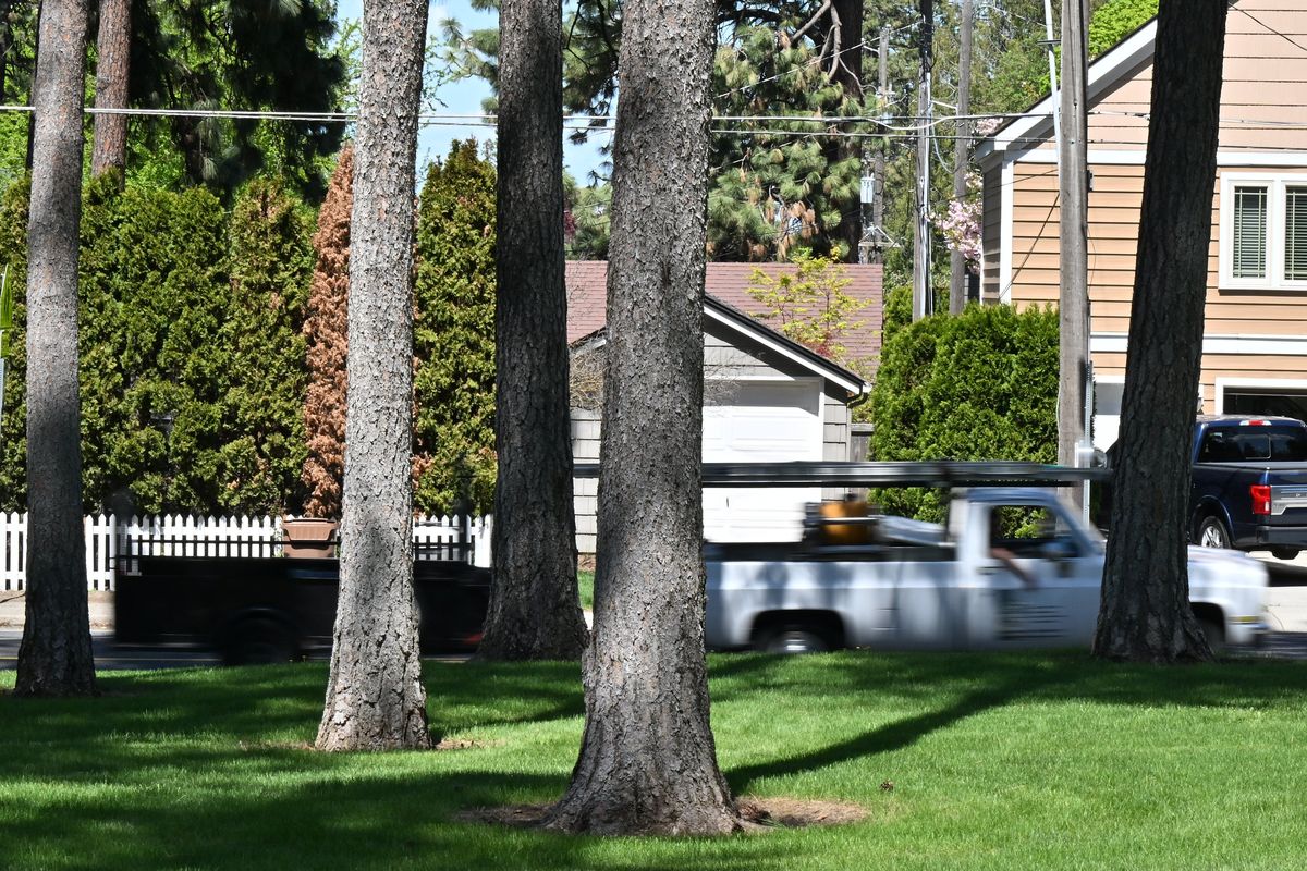 Motorists pass Comstock Park on Friday in Spokane. The Spokane City Council has approved 20 mph speed limits during the summer on arterials passing certain city parks with playgrounds, including A.M. Cannon, Chief Garry, Comstock, Hays, Lincoln and Mission parks.  (Tyler Tjomsland/The Spokesman-Review)