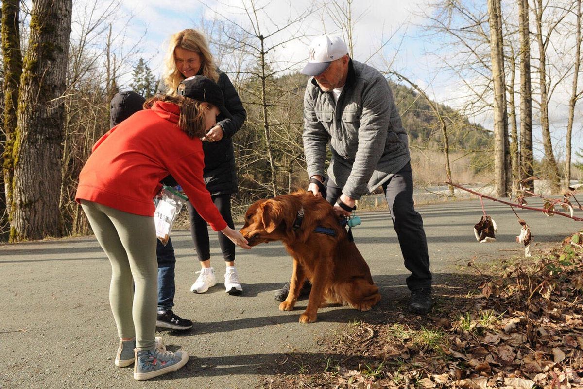 Student Jade Pennock gives a dog a treat.  (Jenna Hauck/The Chilliwack Progress/Handout)