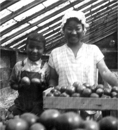 Two members of the Uyeji family proudly display their produce in their greenhouse sometime in the 1930s. The greenhouse was on the site of the National Archives at Seattle building. Photo courtesy of Densho, Uyeji Collection. The National Archives of Seattle