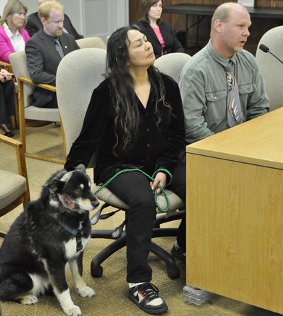OLYMPIA -- Shelby, a Siberian Husky mix, sits while his owners John Stevie and Sharon Willoya tell a House committee about a wolf attack that almost killed the dog on March 10 (Jim Camden)