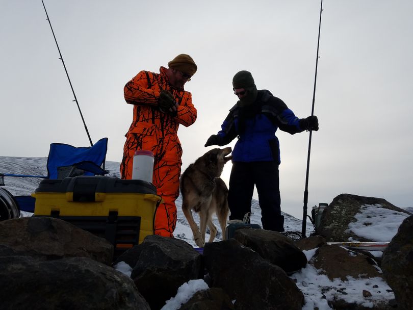 Dave Morrow and his son Jeremy share their steelhead fishing spot with somebody's dog on a bitter cold day at Wawawai Landing on the Snake River. (Rich Landers)