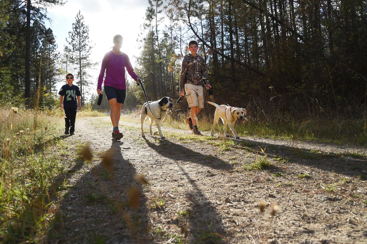Lori Clark, second from left, walks up a logging road towards Mica Peak, Tuesday, Oct. 13, 2015, with her sons Sean, left, and McCade, right, and dogs Cassie and Gunner. The logging road is part of Spokane County