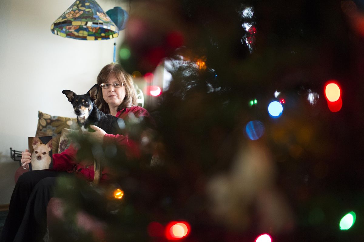 Janet Rich poses for a photo with her dog Eddie and a photo of her dog Opie -- who escaped from a doggie day care and was run over by a car last October, on Friday, Dec. 2, 2016, in Spokane, Wash. (Tyler Tjomsland / The Spokesman-Review)