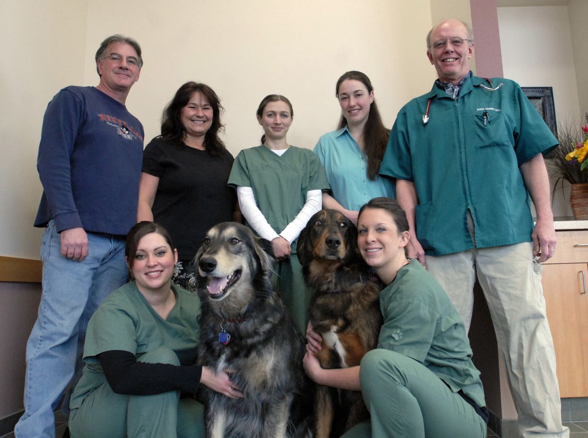 Pet Vet Hospital and Wellness Center - Veterinarian in Spokane