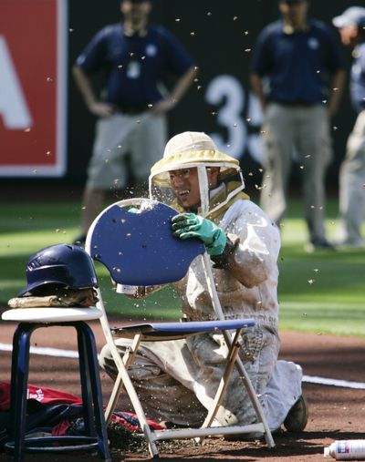A beekeeper made Petco Park safe again Thursday.  (Associated Press / The Spokesman-Review)